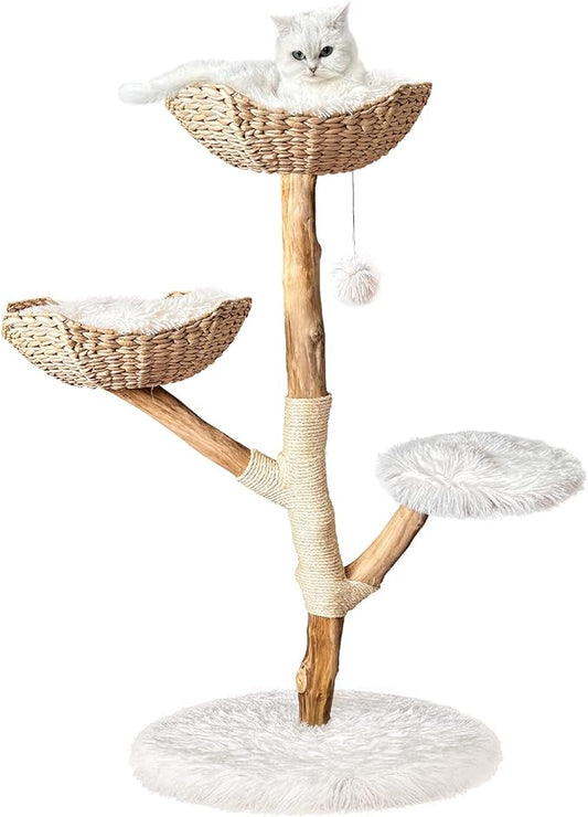 Awesome Cat Tree - Angus Ecommerce Specialist