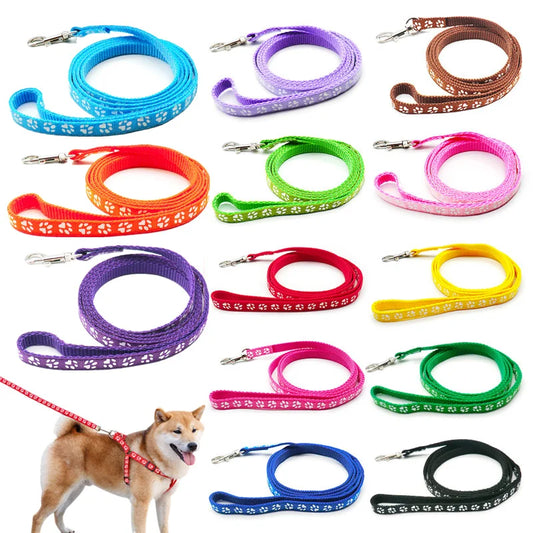 Colourful Dog Leashes - Angus Ecommerce Specialist